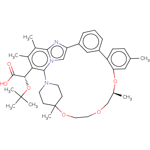 PNG