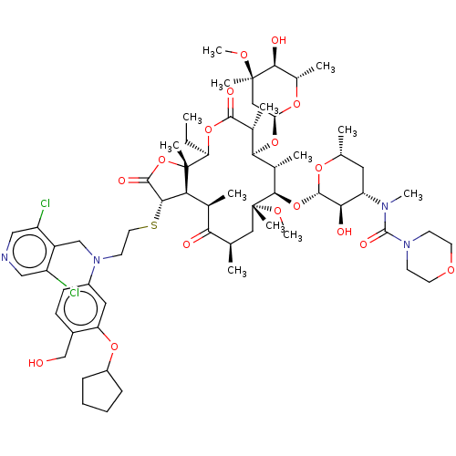 PNG