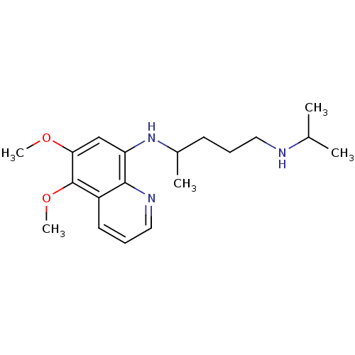 PNG