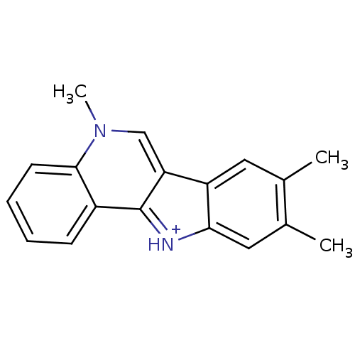 PNG