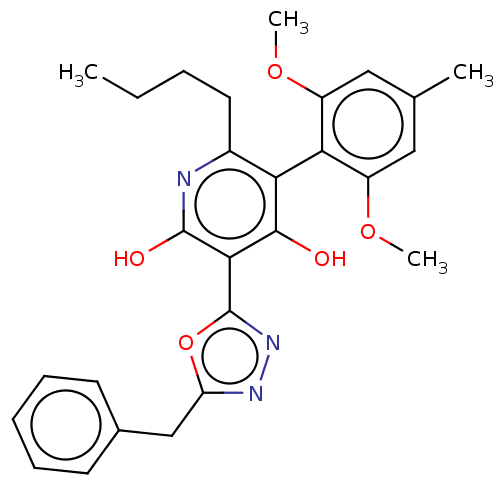 PNG