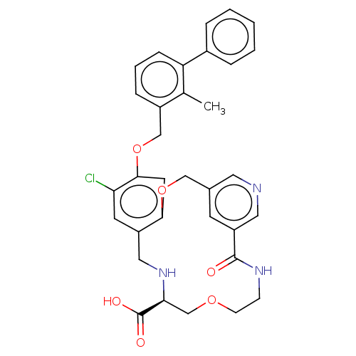 PNG