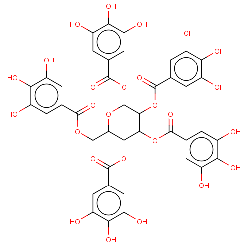 PNG