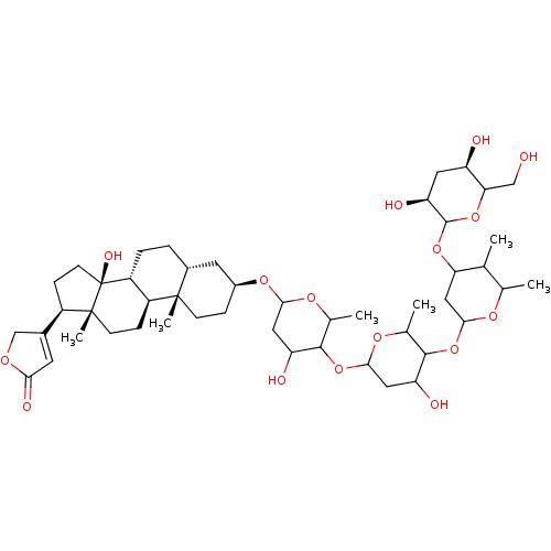 PNG