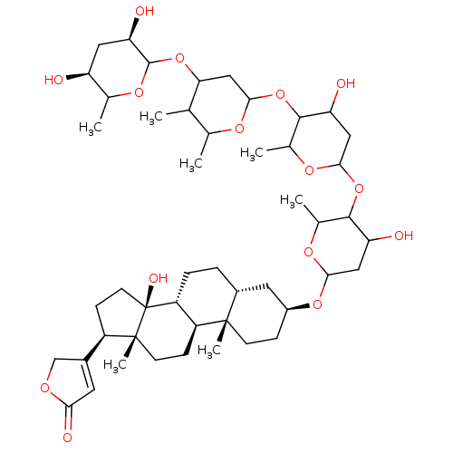 PNG