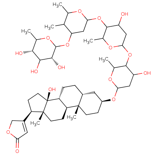 PNG