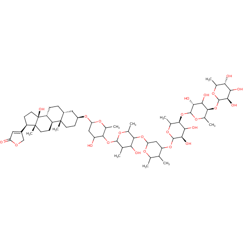 PNG