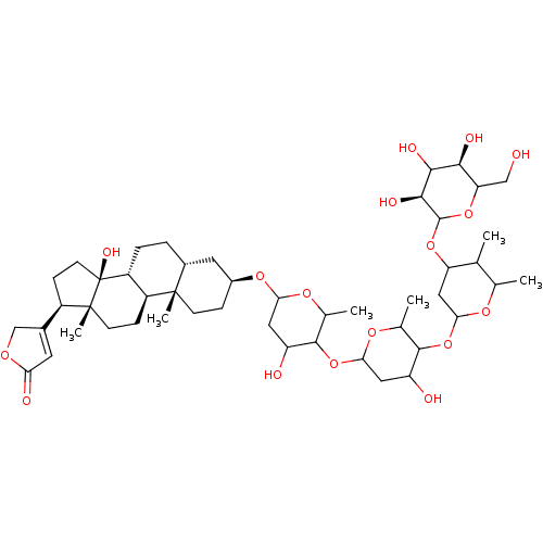 PNG
