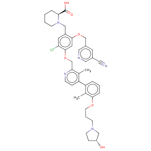 PNG