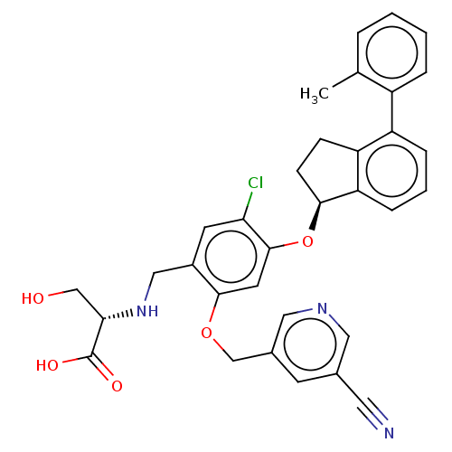 PNG