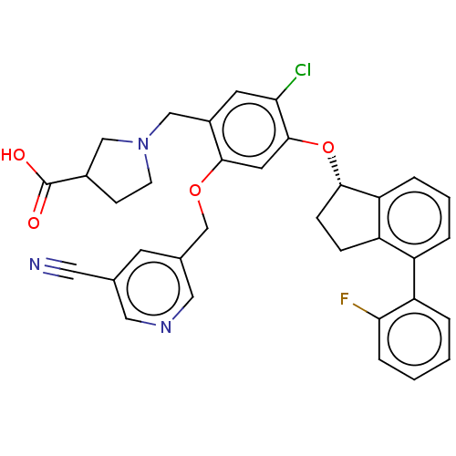 PNG