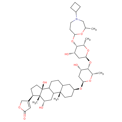 PNG