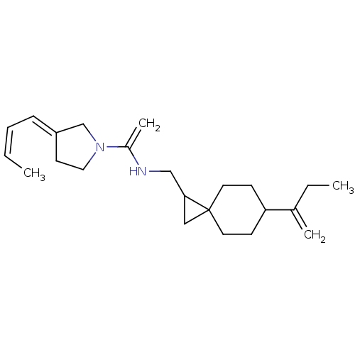 PNG