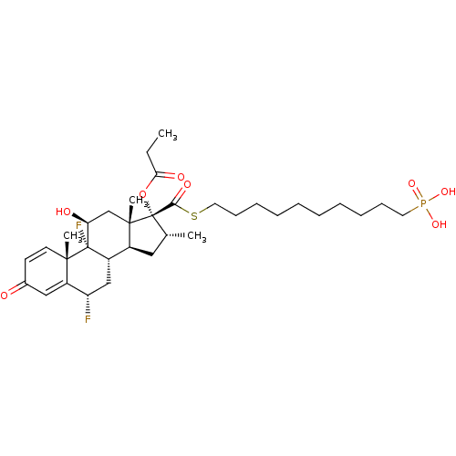 PNG