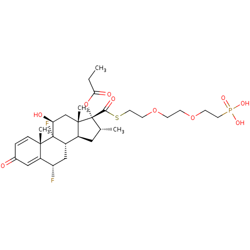 PNG