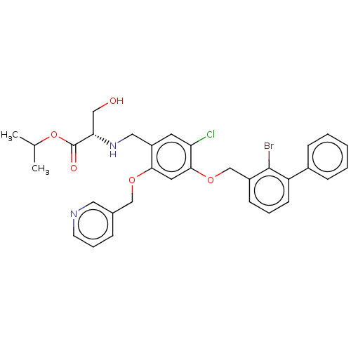 PNG