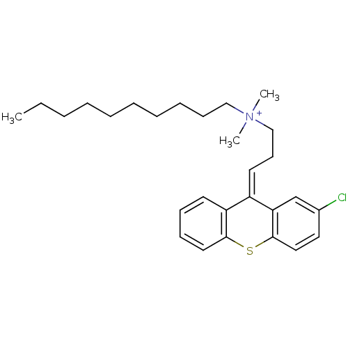 PNG