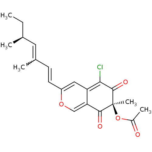 PNG