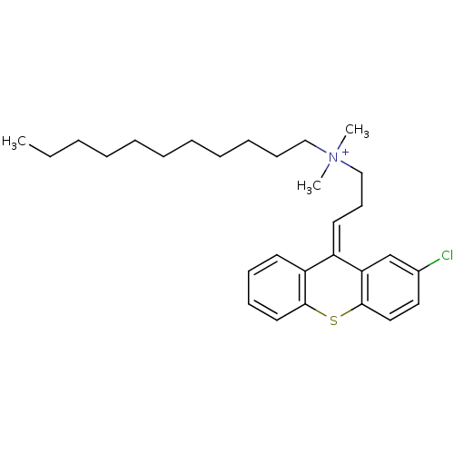 PNG