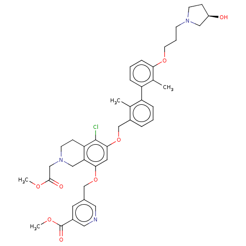 PNG