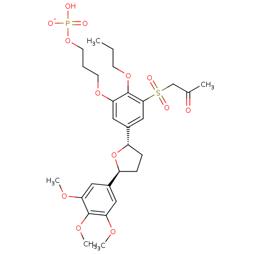 PNG