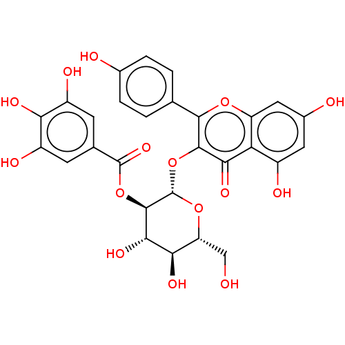 PNG