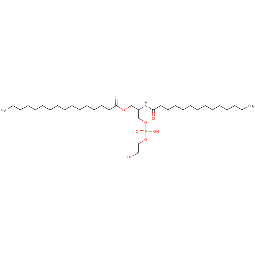 PNG