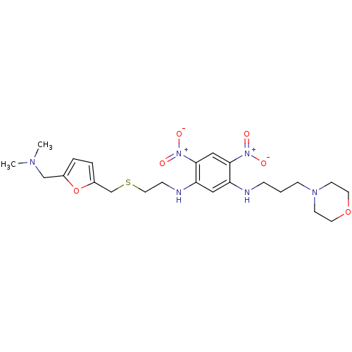 PNG