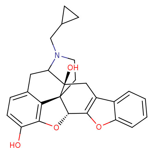 PNG