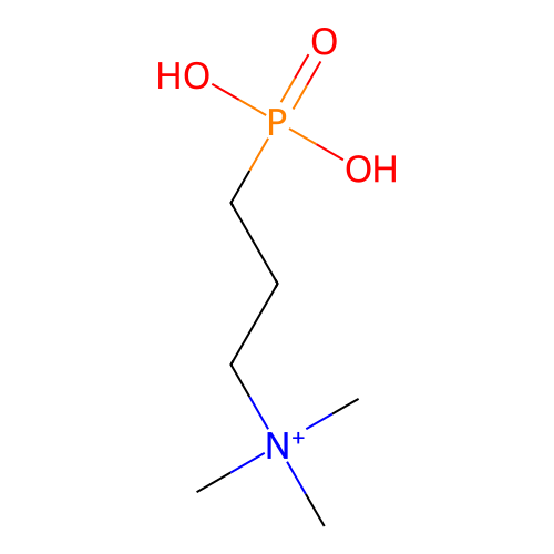 PNG