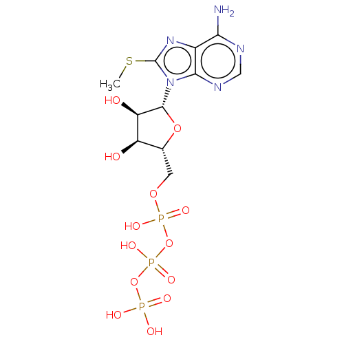 PNG