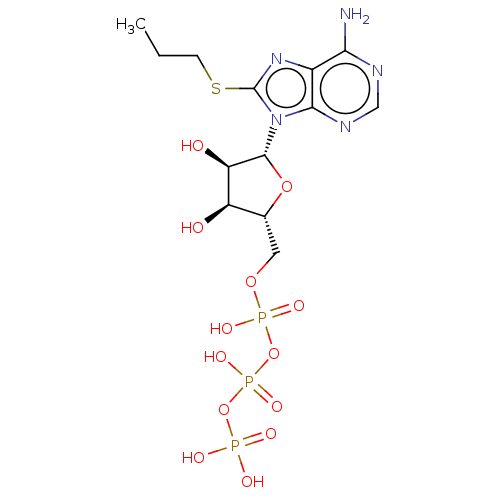 PNG