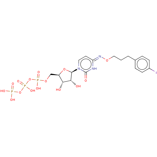 PNG