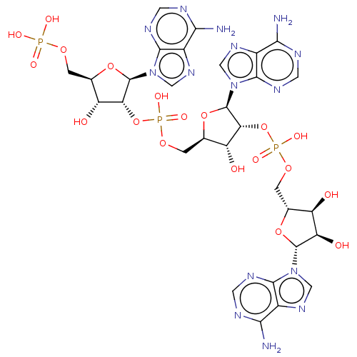 PNG