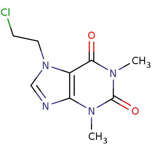 PNG