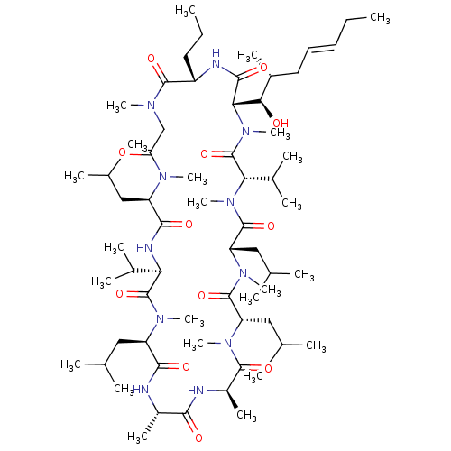 PNG