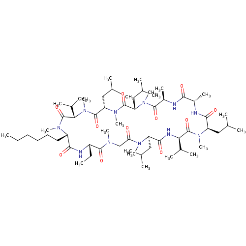 PNG