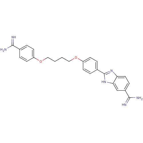 PNG