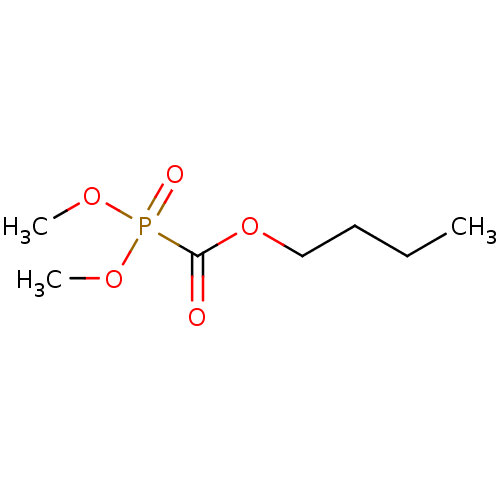 PNG