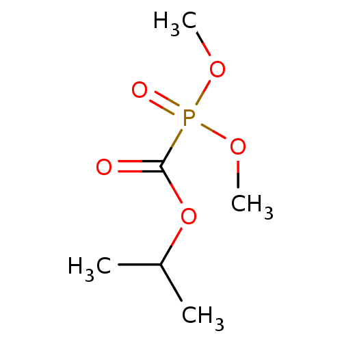 PNG
