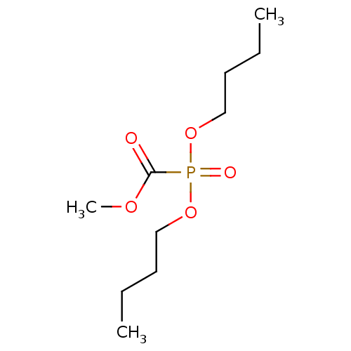 PNG