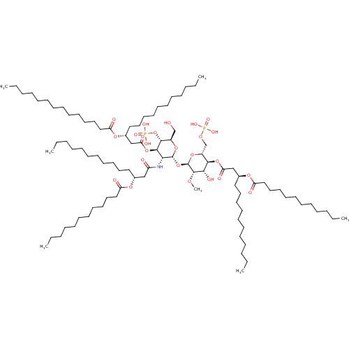 PNG