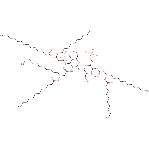 PNG