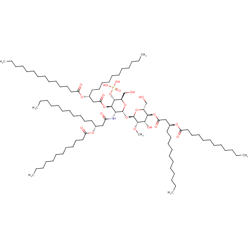 PNG