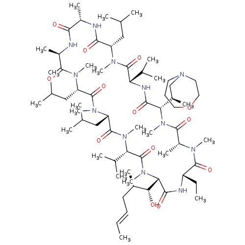 PNG