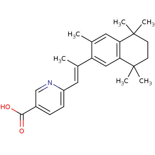 PNG