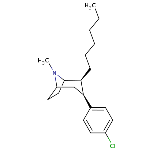 PNG