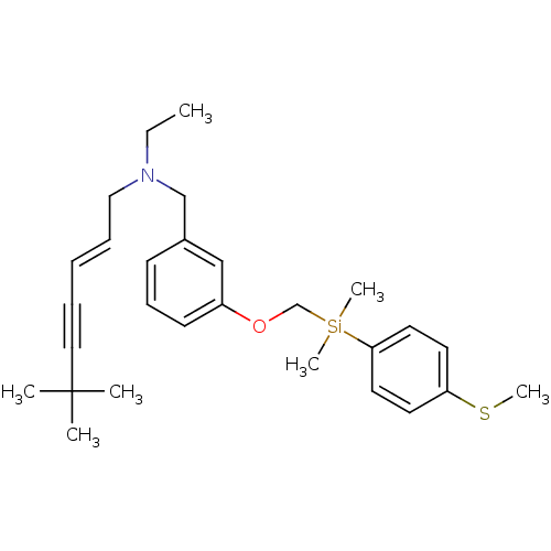 PNG
