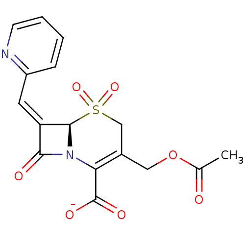PNG