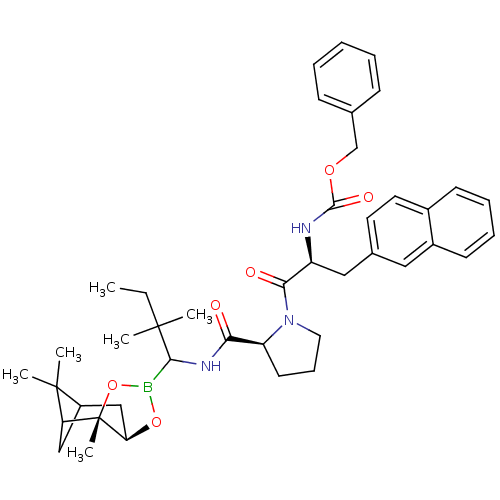PNG